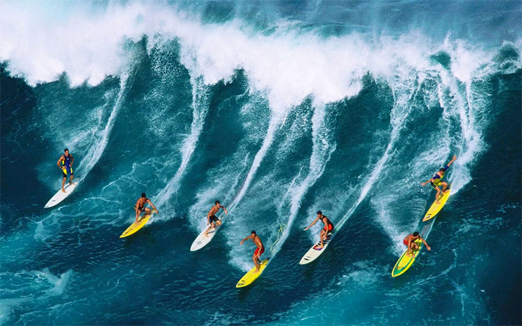 The History of Surfing